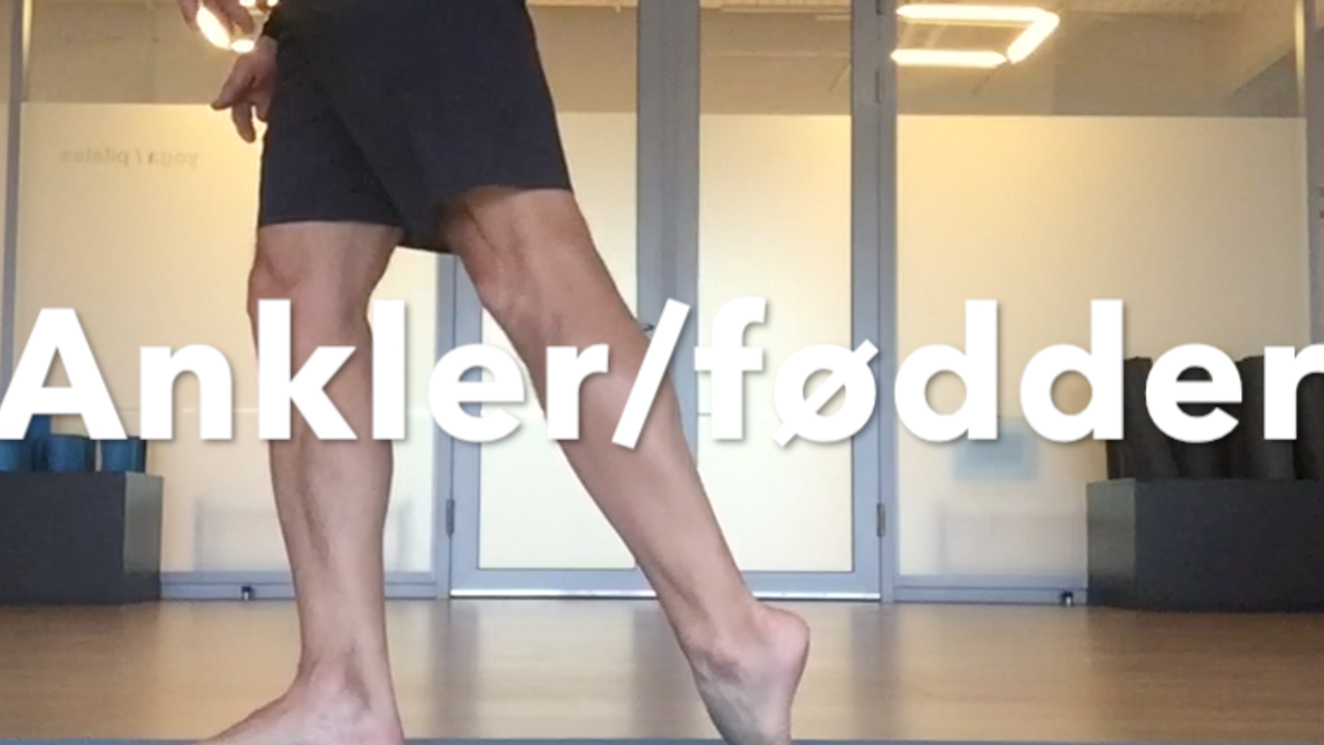 Ankler / Fødder