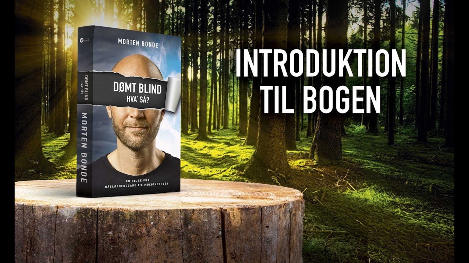 Introduktion til bogen Dømt blind   hva' så?